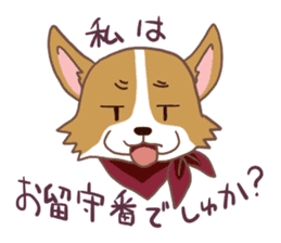 Corgi dog which stays at home sticker #12529385