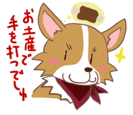 Corgi dog which stays at home sticker #12529390