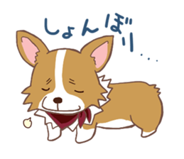 Corgi dog which stays at home sticker #12529397
