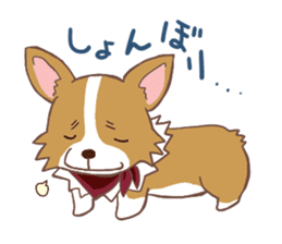 Corgi dog which stays at home sticker #12529397
