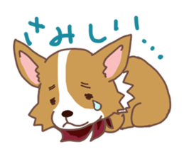 Corgi dog which stays at home sticker #12529398