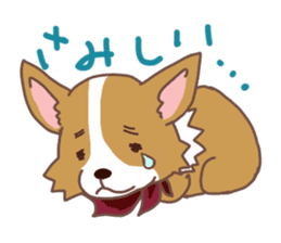 Corgi dog which stays at home sticker #12529398