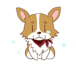 Corgi dog which stays at home sticker #12529400