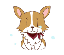 Corgi dog which stays at home sticker #12529400
