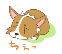 Corgi dog which stays at home sticker #12529404