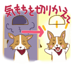Corgi dog which stays at home sticker #12529406