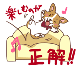 Corgi dog which stays at home sticker #12529407