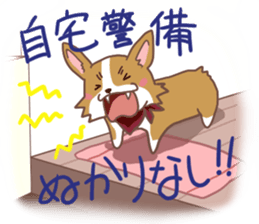 Corgi dog which stays at home sticker #12529409
