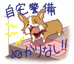 Corgi dog which stays at home sticker #12529409