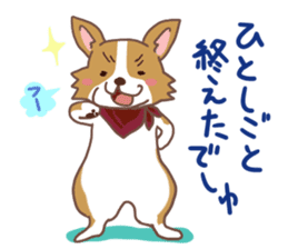 Corgi dog which stays at home sticker #12529410