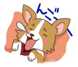 Corgi dog which stays at home sticker #12529413