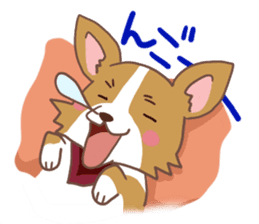Corgi dog which stays at home sticker #12529413