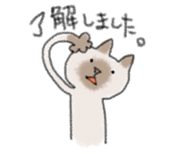 Cat speak honorific sticker #12531209