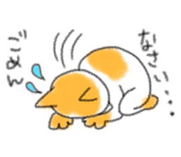 Cat speak honorific sticker #12531217