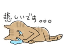 Cat speak honorific sticker #12531226