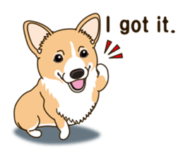 Sticker of Welsh Corgi. (English) sticker #12534042