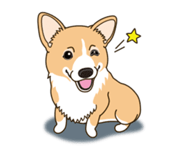 Sticker of Welsh Corgi. (English) sticker #12534045