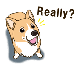 Sticker of Welsh Corgi. (English) sticker #12534047