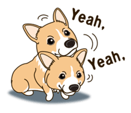 Sticker of Welsh Corgi. (English) sticker #12534048