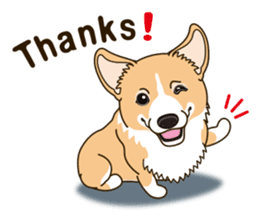 Sticker of Welsh Corgi. (English) sticker #12534050
