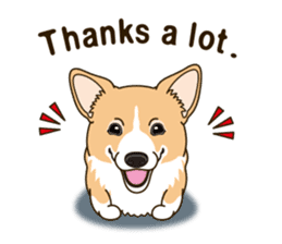 Sticker of Welsh Corgi. (English) sticker #12534051