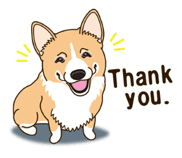 Sticker of Welsh Corgi. (English) sticker #12534052