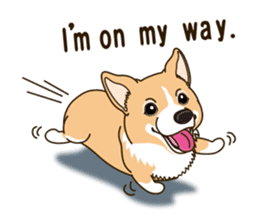 Sticker of Welsh Corgi. (English) sticker #12534058