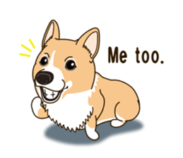 Sticker of Welsh Corgi. (English) sticker #12534059