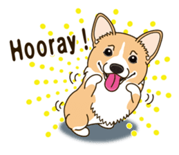 Sticker of Welsh Corgi. (English) sticker #12534062