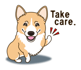 Sticker of Welsh Corgi. (English) sticker #12534066