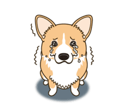 Sticker of Welsh Corgi. (English) sticker #12534070