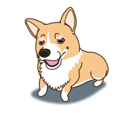 Sticker of Welsh Corgi. (English) sticker #12534072