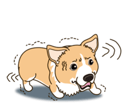 Sticker of Welsh Corgi. (English) sticker #12534073
