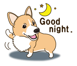 Sticker of Welsh Corgi. (English) sticker #12534076