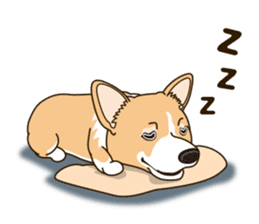Sticker of Welsh Corgi. (English) sticker #12534077