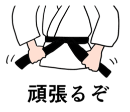 judo is fun sticker #12534947