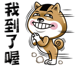 Shiba Inu Onigiri sticker #12536874