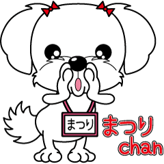 Energetic Maltese dog"Matsuri-chan"