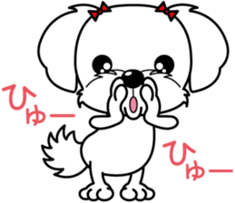 Energetic Maltese dog"Matsuri-chan" sticker #12545315
