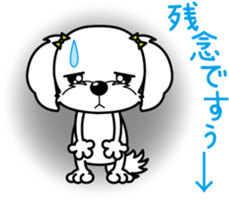 Energetic Maltese dog"Matsuri-chan" sticker #12545317