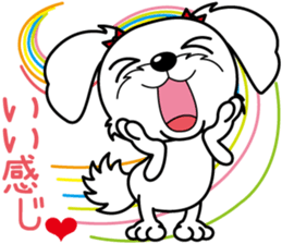 Energetic Maltese dog"Matsuri-chan" sticker #12545319