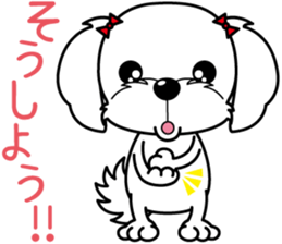 Energetic Maltese dog"Matsuri-chan" sticker #12545320