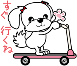 Energetic Maltese dog"Matsuri-chan" sticker #12545329
