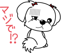 Energetic Maltese dog"Matsuri-chan" sticker #12545331