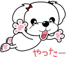 Energetic Maltese dog"Matsuri-chan" sticker #12545333