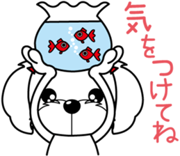 Energetic Maltese dog"Matsuri-chan" sticker #12545335