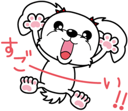 Energetic Maltese dog"Matsuri-chan" sticker #12545339