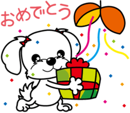 Energetic Maltese dog"Matsuri-chan" sticker #12545340