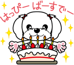 Energetic Maltese dog"Matsuri-chan" sticker #12545341