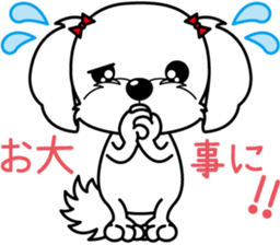 Energetic Maltese dog"Matsuri-chan" sticker #12545342